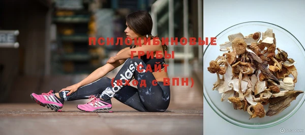 соль ск Сафоново
