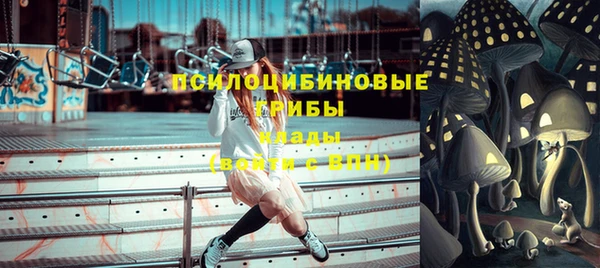 герыч Вяземский
